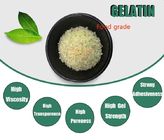 8-60 Mesh Particle Size Halal gelatine poeder uniforme textuur